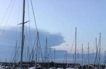 Stella marina - Photo 10