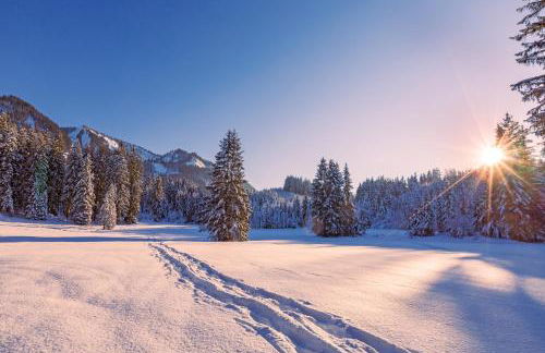 FeWo-Dorfromantik - Kostenlose Sommerbergbahnen und Tiefgarage, kurze Wege, ruhige Lage - Photo 20