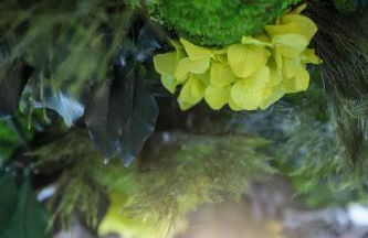 Sole Boutique Hotel - Foto 13