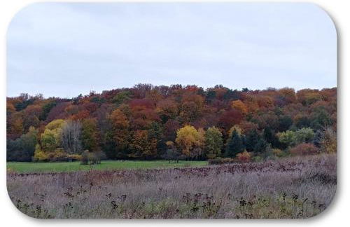 Ferienhaus Naturpur Chorin - Foto 51