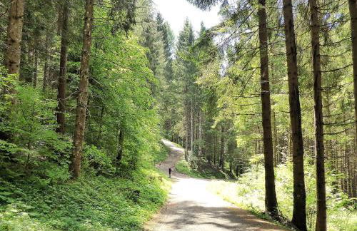 Villa Dolce Bosco with Pool, Valdobbiadene - Foto 34
