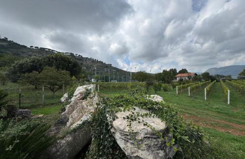 Agriturismo Barbitto - Foto 8