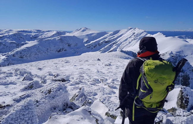 Eco dos Teixos - Foto 18