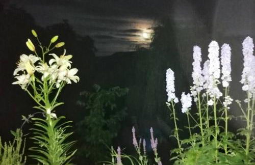 Nachhaltiges Wohnen in Seenähe - Foto 7