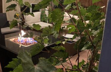 The Cozy nest - Foto 60