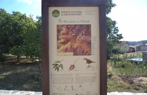 Apimonte Casa do Serra - PN Montesinho - Foto 62