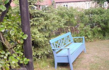 Rosehips at Kerensa, Naburn - Foto 15