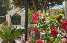 Villa Kormos Apart Hotel - Foto 15