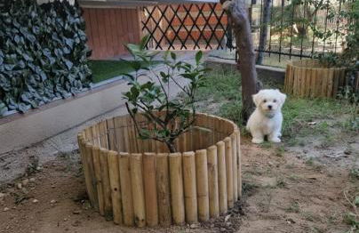 Alis home 100 mt dal mare - Foto 27