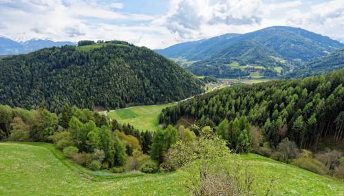 Kehrerhof Urlaub auf dem Bauernhof - Photo 5