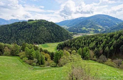 Kehrerhof Urlaub auf dem Bauernhof - Photo 5