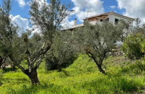 Haus mit Pool im Olivenhain - Foto 7