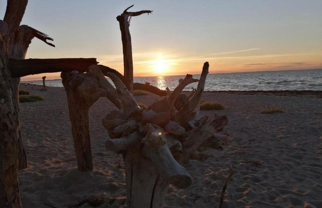 Modern Apartment in Elmenhorst Near Sea - Foto 63