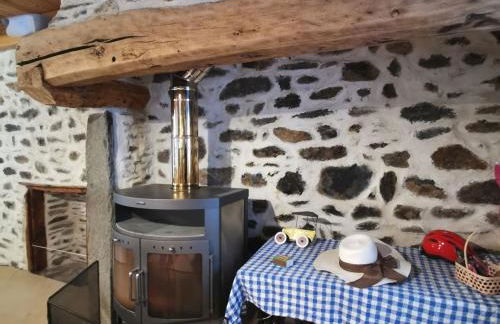 Charmante maison dans les gorges de la Loire avec terrasses et poêle à bois - FR-1-582-319 - Foto 14