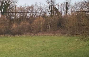 la vallée du paradis studio avec balnéothérapie en campagne - Foto 40