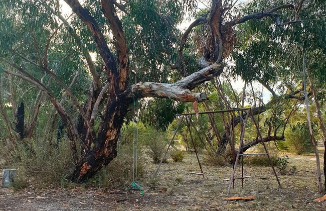 Orchid Lane Cottages - Foto 15