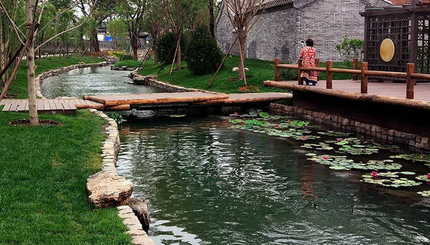 Beijing Hutongs Tour - Foto 5