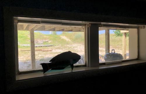 Beach Front on the Bay in our Rustic, Pet Friendly Cottage home - Photo 41