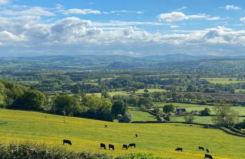 Beehive Cottage - Photo 28