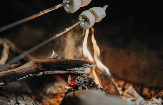 Paradise Ranch - Foto 10