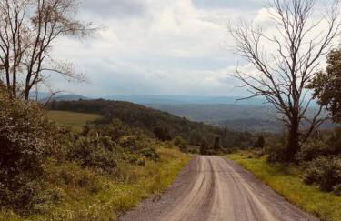 Church Bells - Photo 21