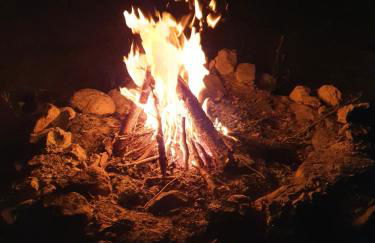 Ranch du Haut-Languedoc - Foto 24