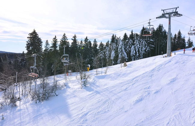 Cosy Holiday Home in Olsberg With Garden - Foto 35