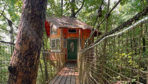 Magical Treehouse Mountain Views Dog Friendly - Foto 1
