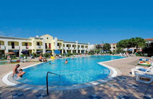 Calycanthus - Foto 40