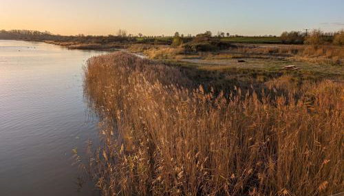 Zur Schwedenschanze 1 - Foto 4