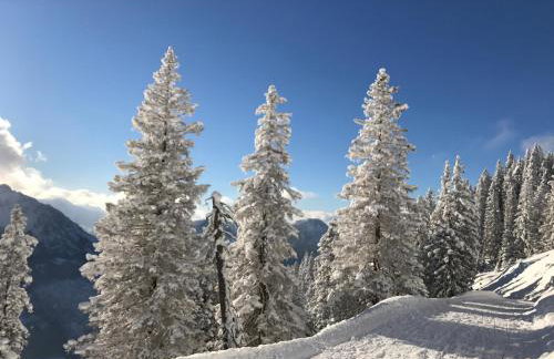 Ferienwohnung Allgäuer Landhaus Stocker in Hopferau-Füssen - Foto 21