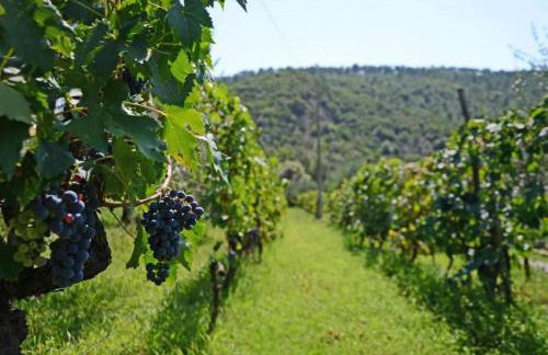 Villa Marrado - Foto 16