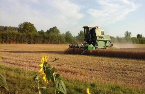 Holiday Home in Chilleurs near Château - Foto 35