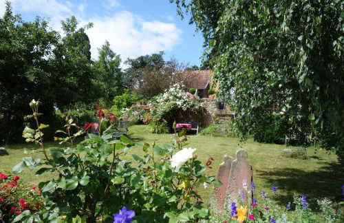 Traumblick Rebenmeer - Foto 29