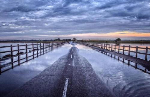 Oyster Lodge - Foto 12