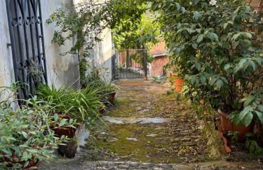 Casa Relax, un uliveto sul mare. - Foto 22