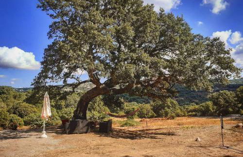 Eco Lodge nella natura Con Piscina privata "La Grande Quercia" - Foto 51