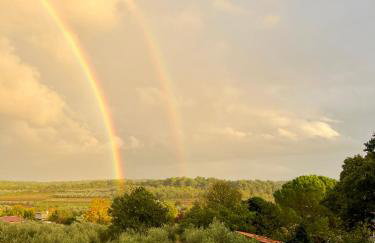 Villa Leopoldo by Istrian Country Houses - Photo 13