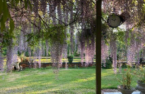 Brook Farm - Foto 39