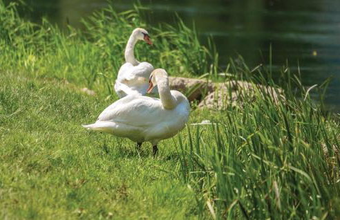 Nice Home In Licko Lesce With Wifi - Photo 30