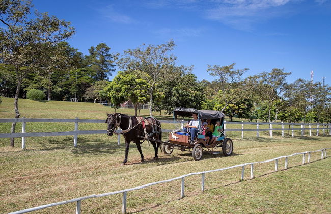 Brotas Eco Hotel Fazenda - Photo 74
