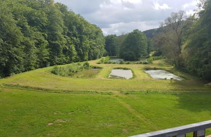 Pulgersmühle, EG - Foto 1