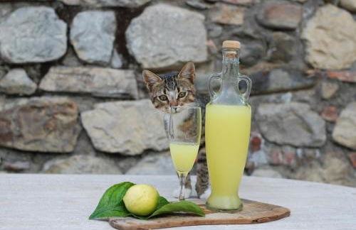 Agriturismo Fattoria Walden - Foto 29