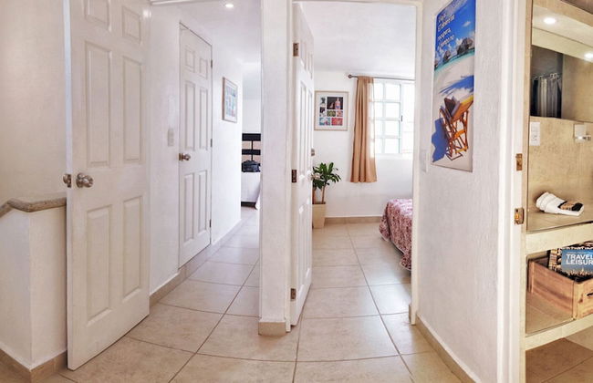 HominngBird - Foto 24