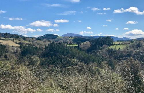 Casa Libao-VILLA ENTRE BILBAO Y URDAIBAI CON PISCINA PRIVADA - Foto 49