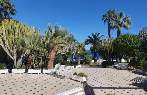 AriaSpot Alicante - Foto 17