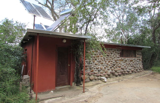 Amazing Tree in Lounge Eco Apartment With Leopards Passing by at Night - Foto 1