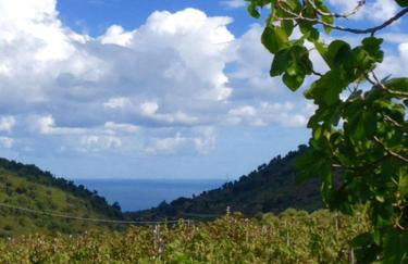 Antica Tindari - Foto 58