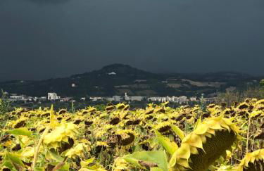 Casale del monte, Pesaro - Foto 8