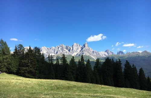 il Finferlo - Foto 12